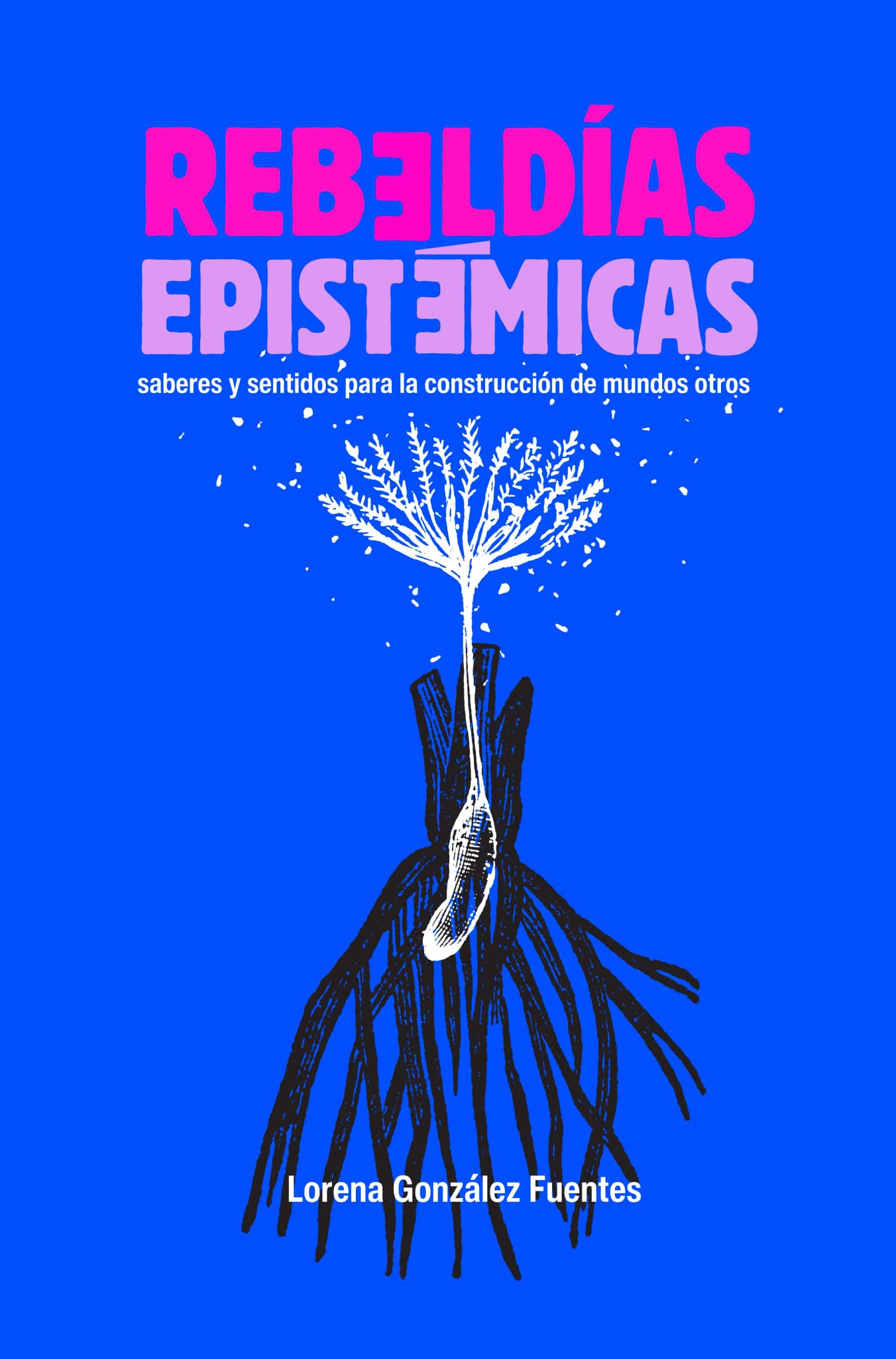 Rebeldías epistémicas